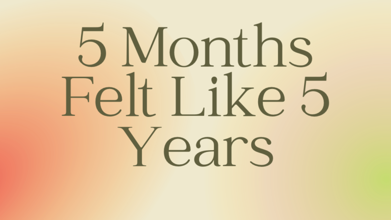 5 Months Felt Like 5 Years